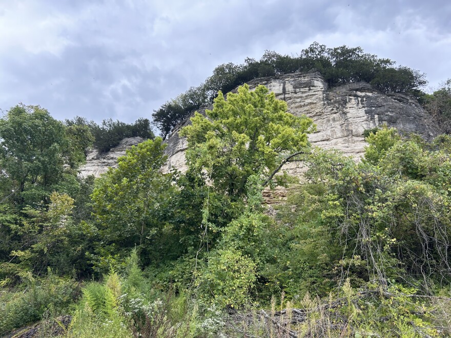 The pictograph is only visible while on the Missouri river. It is high on the bluffs that line the river. The red paint was made from a mix of rock sediment and water.