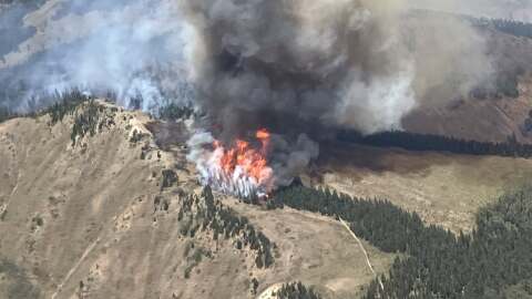 A fire burns through trees on a mountain, with smoke billowing into the sky.