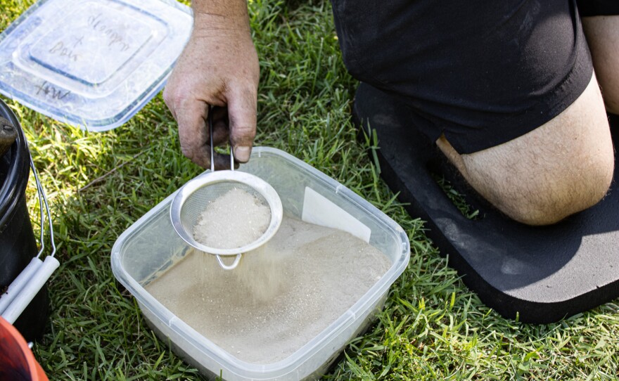 Artist Shea Hembrey uses a sifter to scoop out a lime soil supplement.