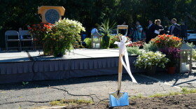 A silver and wood shovel with a white bow is stuck in the brown dirt in front of rises with color flowers around it. 