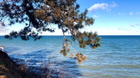 Photo by Bradley Prentice, Unsplash.com. Researchers forecast the Chesapeake Bay's dead zone will be 14% smaller than average this year.