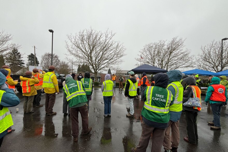 Volunteers turned out on Saturday, Feb. 21 to plant trees in a South Tacoma neighborhood near Mann Elementary School. The tree planting launched the city's near SafeTREE Routes to School program.
