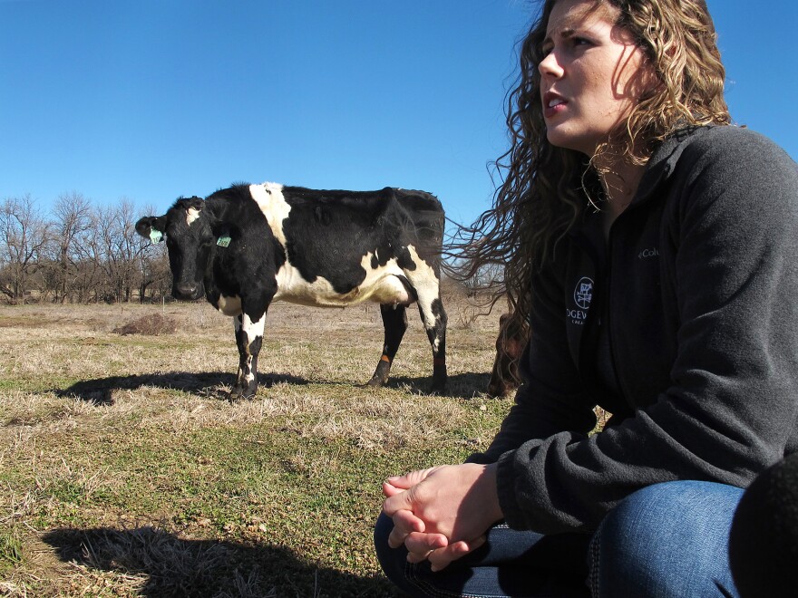 Farmer Aubrey Fletcher of Purdy, Mo., is one of thousands of women who have taken on leadership roles in the traditionally male-dominated agriculture industry. Despite her busy workload, Fletcher has been making the time to meet regularly with a new group of women dairy farmers in her area.