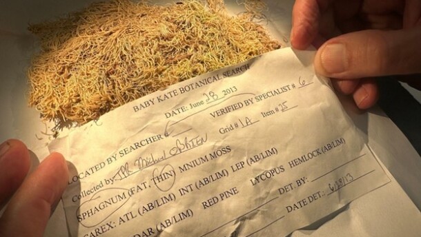 Pieces of moss collected as evidence in the investigation of the 2011 murder of 4-year-old Katherine “Baby Kate” Phillips in Mason County.