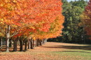 Autumn in Rye, NH. 2022. Dan Tuohy photo.