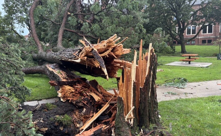 High winds and heavy rain led to downed trees, power outages and flooded streets across Bloomington-Normal.