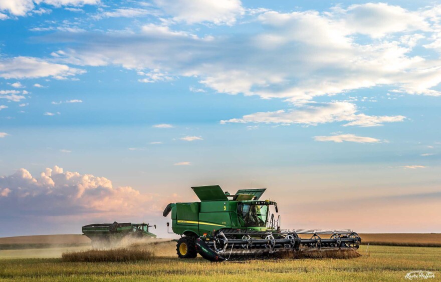 A combine from Laura Haffner's business, harvests canola crop in Montana. Haffner said it's important to keep equipment new to avoid costly breakdowns. But in recent years it's been harder to keep up with rising costs.