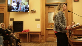 Kerrie Lonard, the state’s child advocate, speaks to legislators on Wednesday.