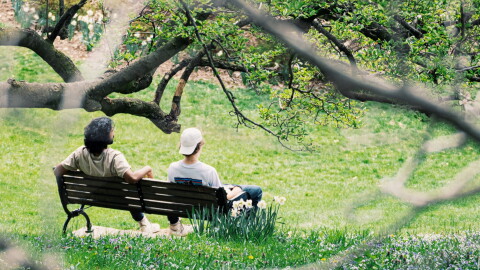 Two people sitting on a bench in a park, facing away from the viewer