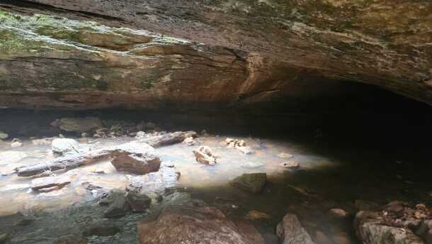 The entrance to Devil's Ice Box in Rock Bridge Memorial State Park.