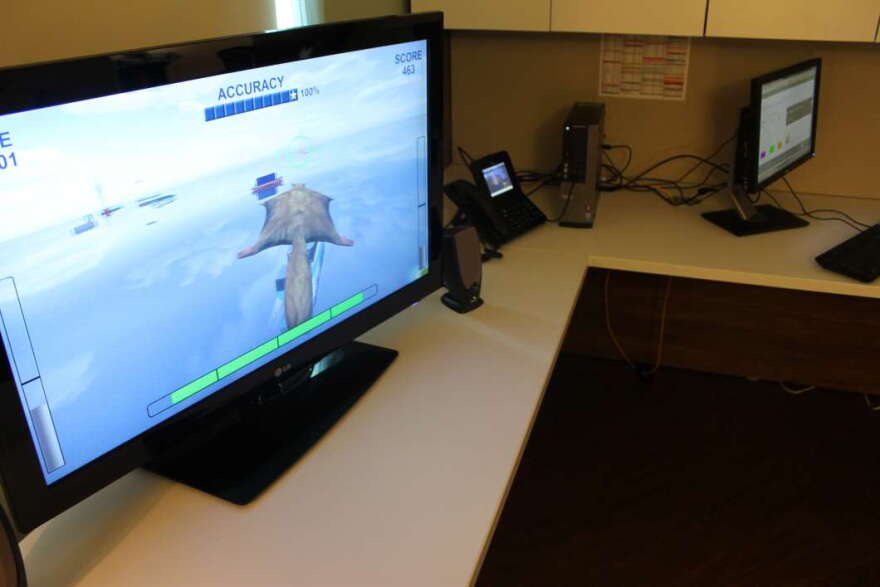 UCF mental health specialists say this flying squirrel can help train your brain. Photo: Matthew Peddie, WMFE