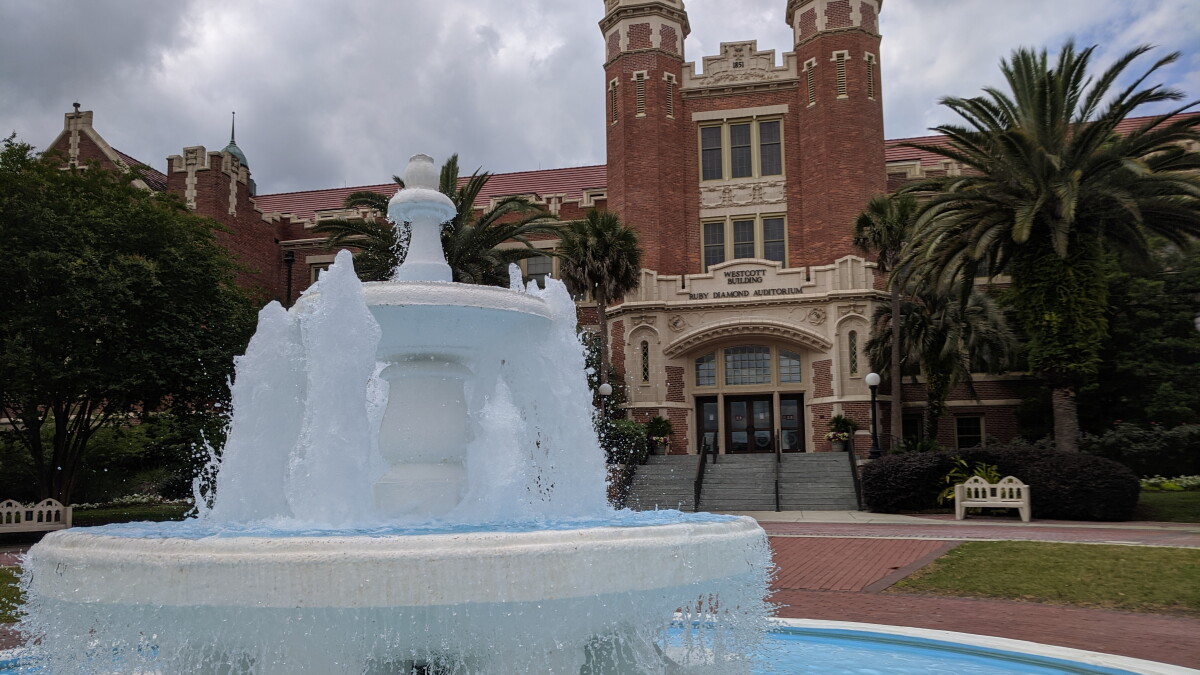 Tallahassee's OLLI program goes global - Vimarsana News