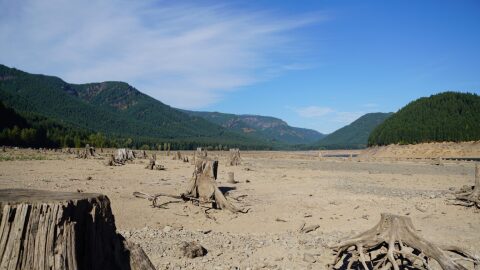 A drought in 2015 nearly emptied Detroit Lake, a reservoir between Bend and Salem. State climatologist Larry O'Neill draws similarities between this year and 2015 after Oregon's warm and dry start to 2026.