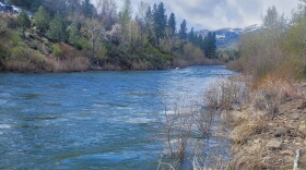 The Truckee River flowing high between tree-lined banks, with snow-covered mountains visible in the distance beneath a partly cloudy sky.
