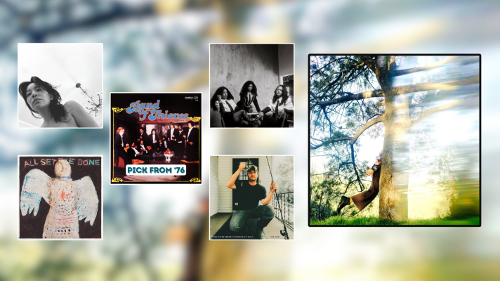 A display with artwork for six music releases in six black frames. One is much larger than the others and has a hazy image of a tree in it. That square fills up the right part of the image, and the background of the full image is a blurry version of the same image. In the five smaller squares are a close up black and white of a woman, a black and white of three woman posing seated, a painting of an angel or doll, and a man holding a fishing rod with a cigarette. 