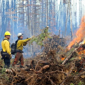 Firefighters burn piles of wood near Tok on Aug. 29.