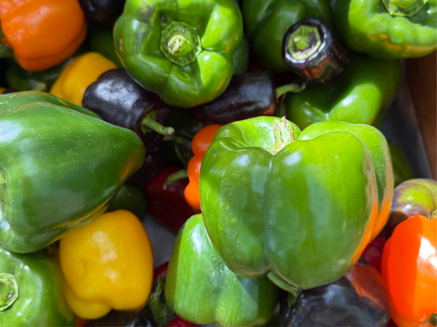 A variety of peppers. (Kathy Gunst/Here & Now)
