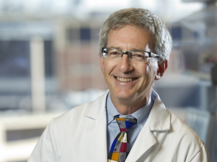 Roger Cone, chairman of the department of molecular physiology and biophysics at Vanderbilt University in Nashville, Tenn., says he thinks scientists "have a responsibility to be in the public sphere."