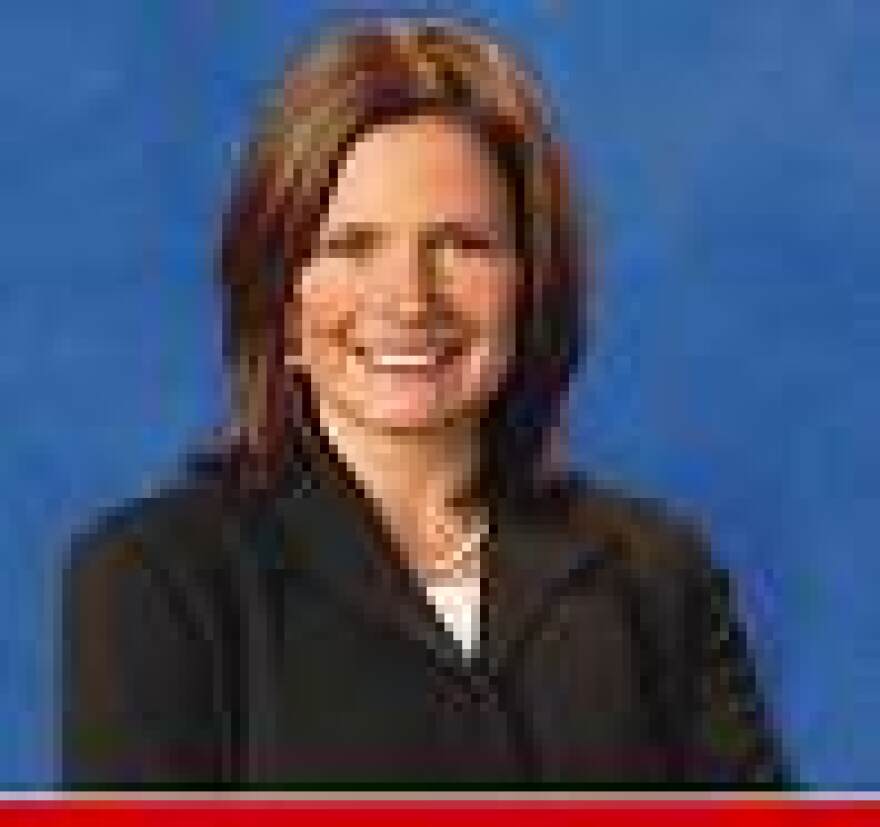Democratic congressional candidate Ellen Simon