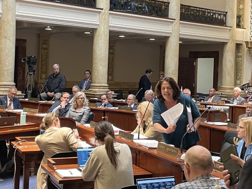 Louisville Senator Karen Berg Offered Emotional Comments During the Debate on SB 150 03-16-23