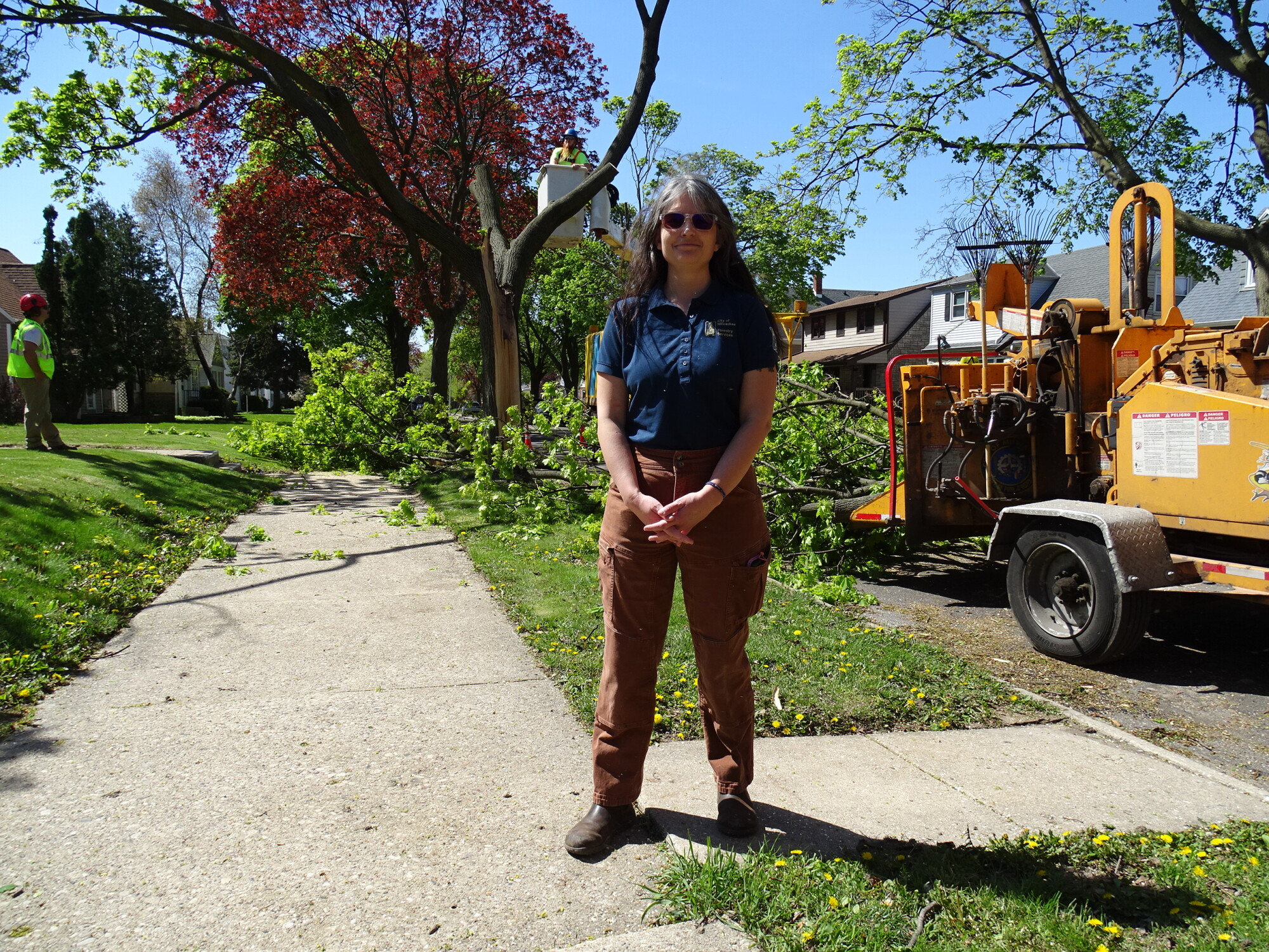 Looking to the canopy: Efforts to preserve Milwaukee's urban trees in the face of severe storms episode artwork
