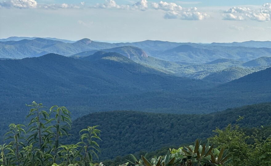 Pisgah Conservancy wrote on Oct. 9: "We continue to stand by our region as it heals from the devastation of Hurricane Helene, holding those who have lost loved ones or suffered damage to their homes or livelihoods in our hearts."
