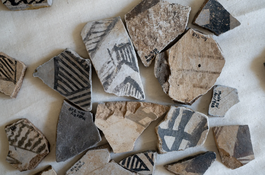 Pottery shards in a display case at the Mesa Verde National Park Museum.