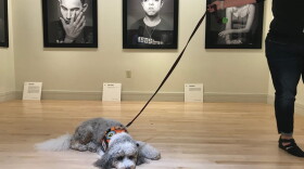 From the exhibit. (Photo by Caitie Switalski)