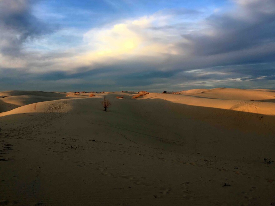 monahans-sandhills-for-web