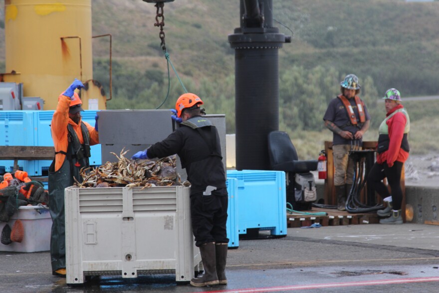 Crab fishermen unload their catch in Port Orford, Aug. 5, 2026.