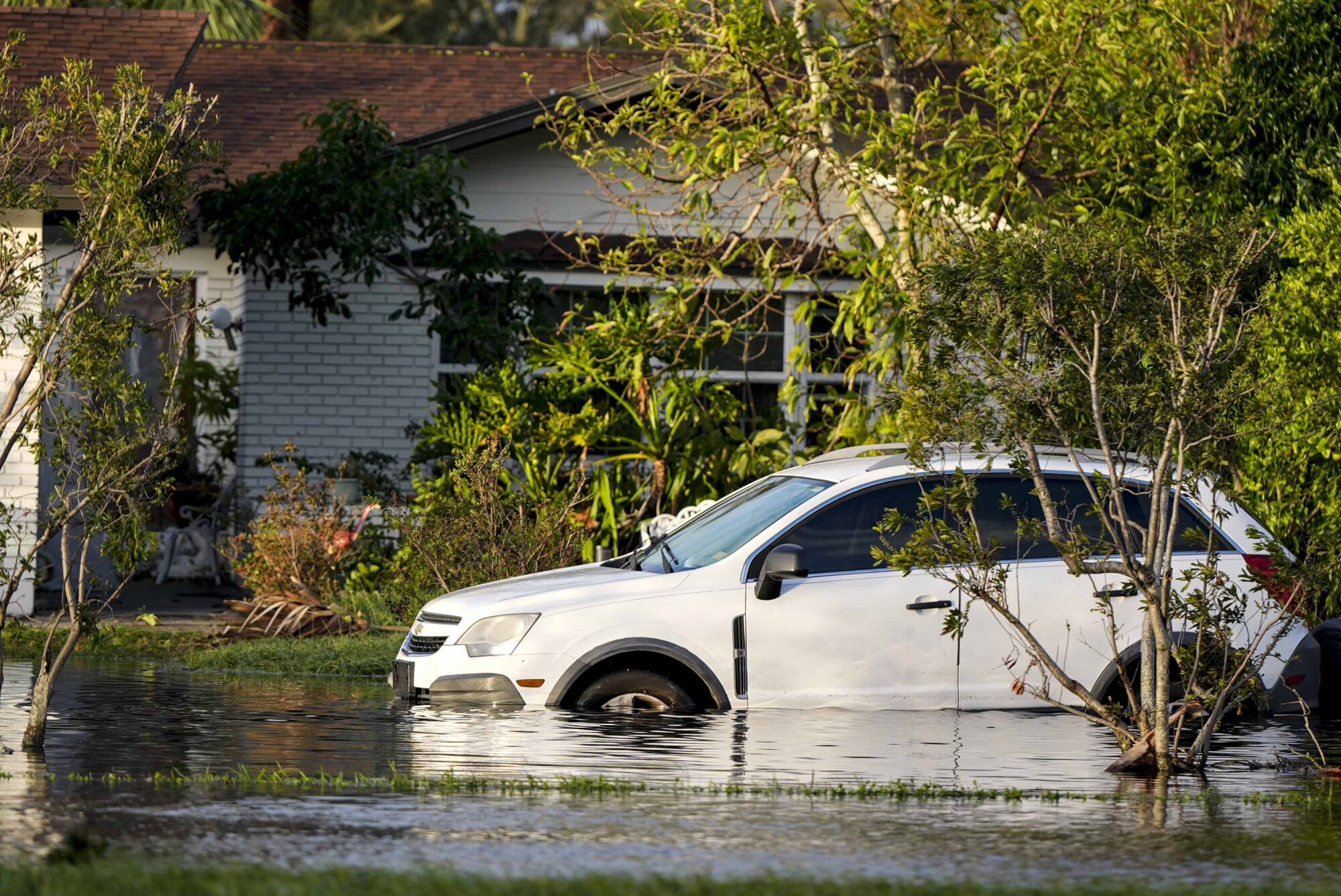 Filing insurance claims and voting after back-to-back hurricanes episode artwork