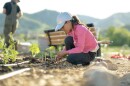 A photo of a community member planting seeds as she participates in "La Milpa."