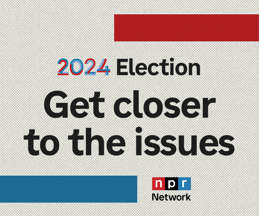 Npr Graphics Get Closer to the Issues: A Collection of NPR Data Visualizations
