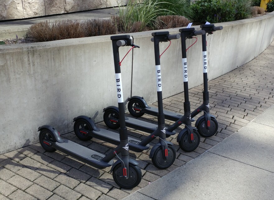 Bird currently operates in six Cincinnati neighborhood and in Covington and Newport.