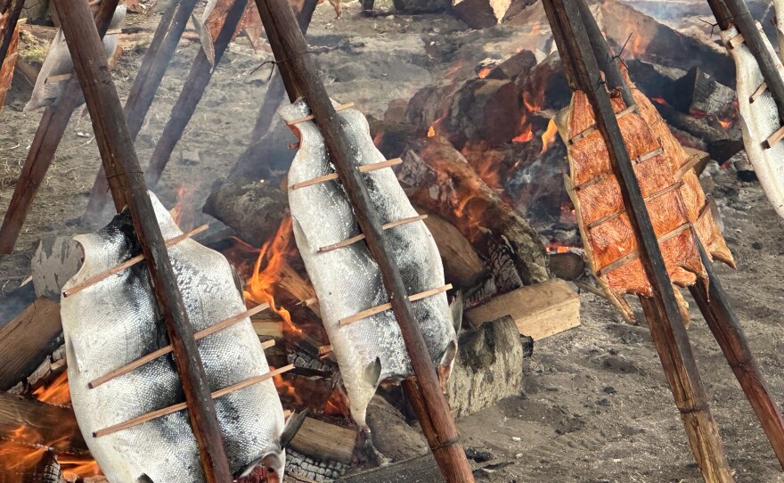 Salmon is spread out on stakes and cooked over a wood fire at the Makah Days festival in Neah Bay.