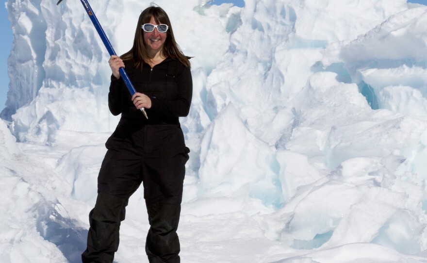 Jynne Dilling Martin is a publicity director at Riverhead Books. She recently participated in the National Science Foundation's <a href="http://www.nsf.gov/geo/plr/aawr.jsp" target="_blank">Antarctic Artists and Writers Program</a>.