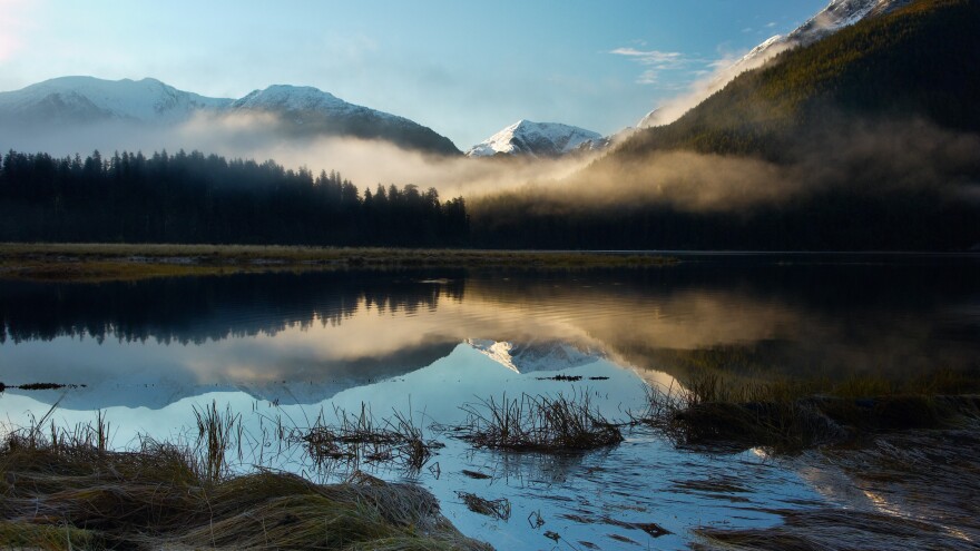 Foggy morning in the Great Bear Rainforest of British Columbia.