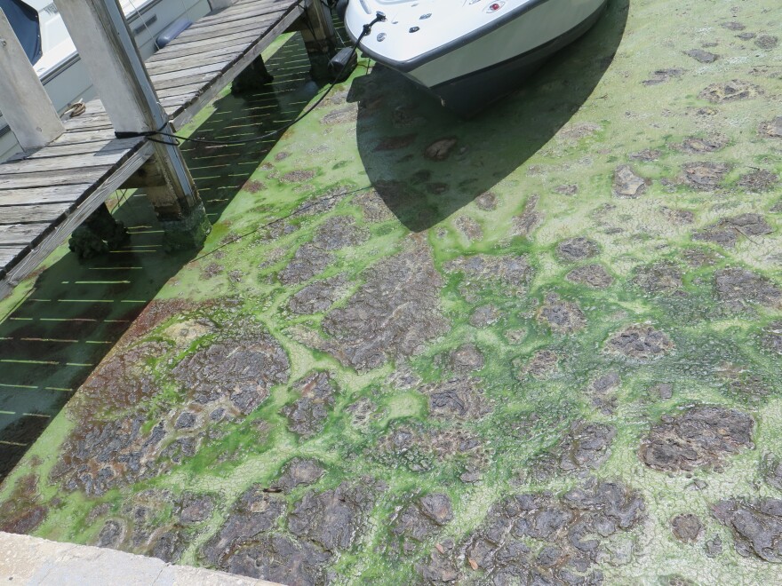 "It stains the boats, it smells horrible and it's toxic," says the boat salesman John Skinner.