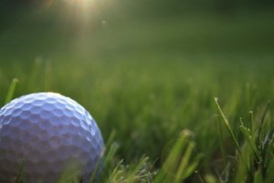 Close up of a white golf ball in grass