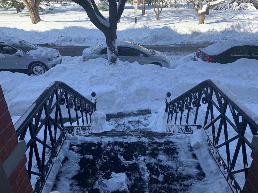 Freshly shoveled steps in Albany