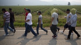 Farmworkers march in protest of working conditions at Sarbanand Farms on Wednesday, August 8, 2017, after a fellow worker, Honesto Silva Ibarra, 28, died on Sunday. Click or tap on this image for more photos.