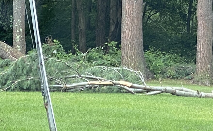 A fallen tree in a yard in Somers, Connecticut, the day after an EF-0 tornado hit the town. 