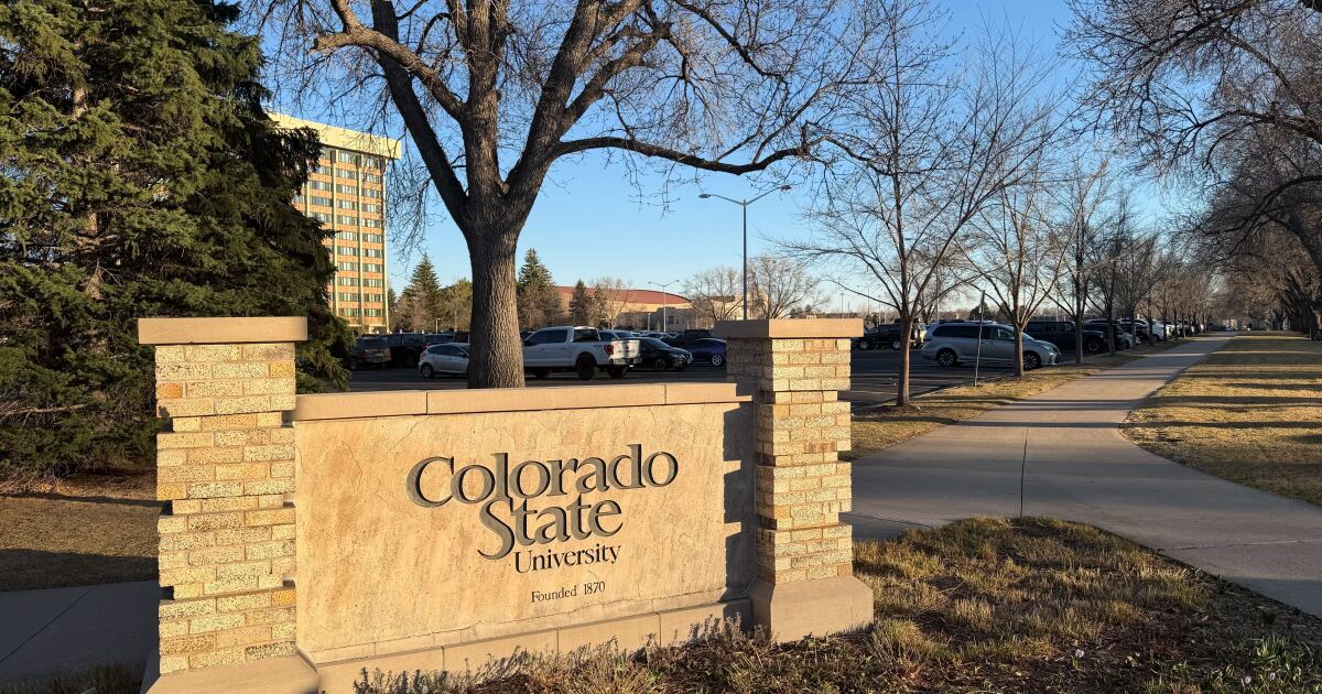 America is turning against college. So why are more students enrolling?