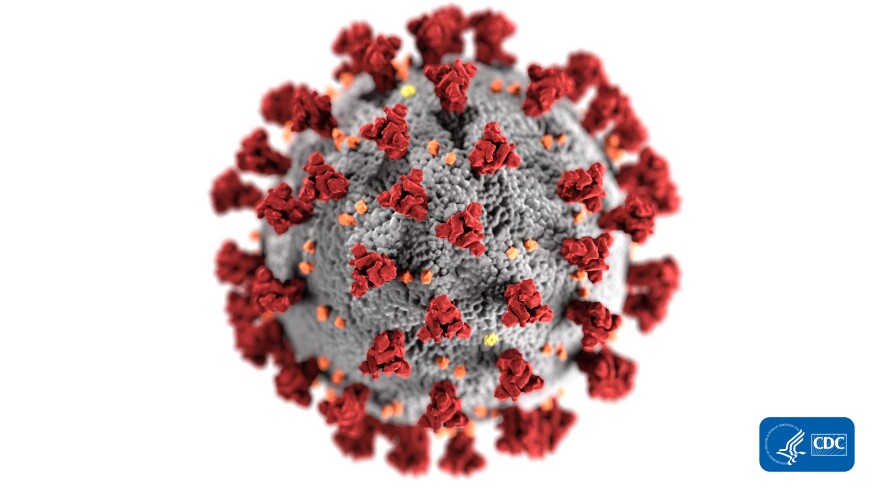 An illustration created at the Centers for Disease Control and Prevention (CDC) shows the structure of coronavirus. The illness caused by this virus has been named coronavirus disease 2019 (COVID-19).