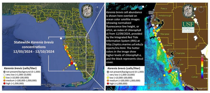 Red tide map