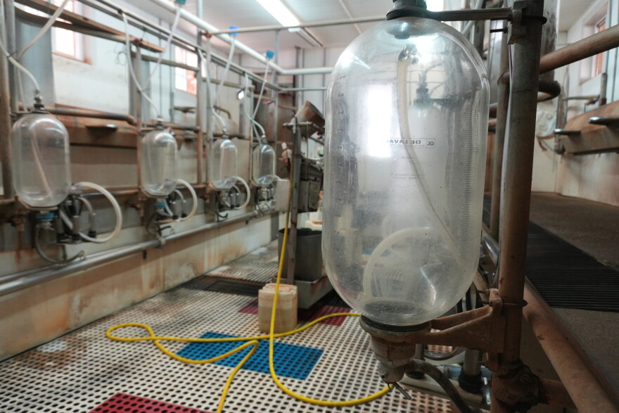 Rows of milking jugs used on Armstrong's farm