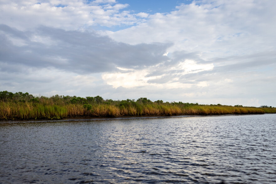Coastal marshland near Pecan Island in Vermilion Parish, Louisiana, on Tuesday, August 25, 2026. 