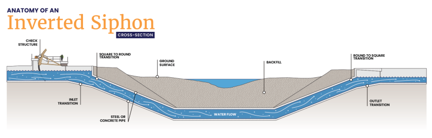 The CAP system has ten siphons, all with similar basic anatomy. The siphons are massive pipelines.