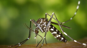 According to a New Jersey-based nonprofit, climate change is responsible for the increased number of mosquito-friendly days — by 21 in Lexington and 27 in Hazard, from 1979-2022.