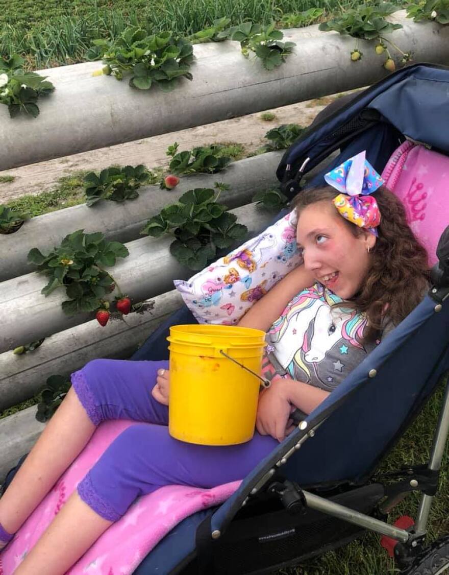 Karrah Cardwell, 13, goes strawberry picking for the first time. Karrah and her family were one of the firsts to test out the wheelchair-accessible portion of Roger’s Farm. (Photo courtesy of Lorraine Cardwell)